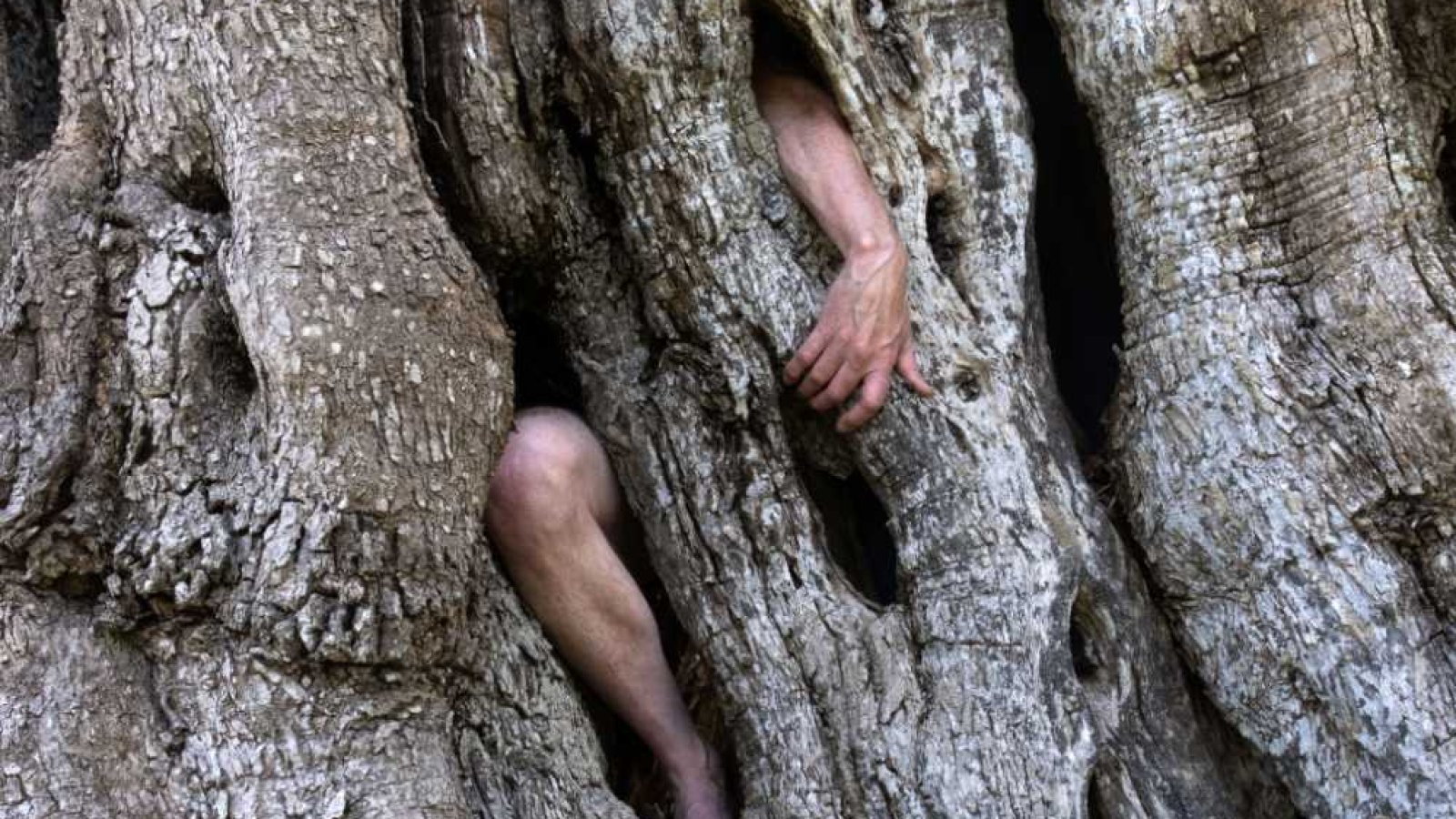 Simon Faithfull: Acts of Entanglement