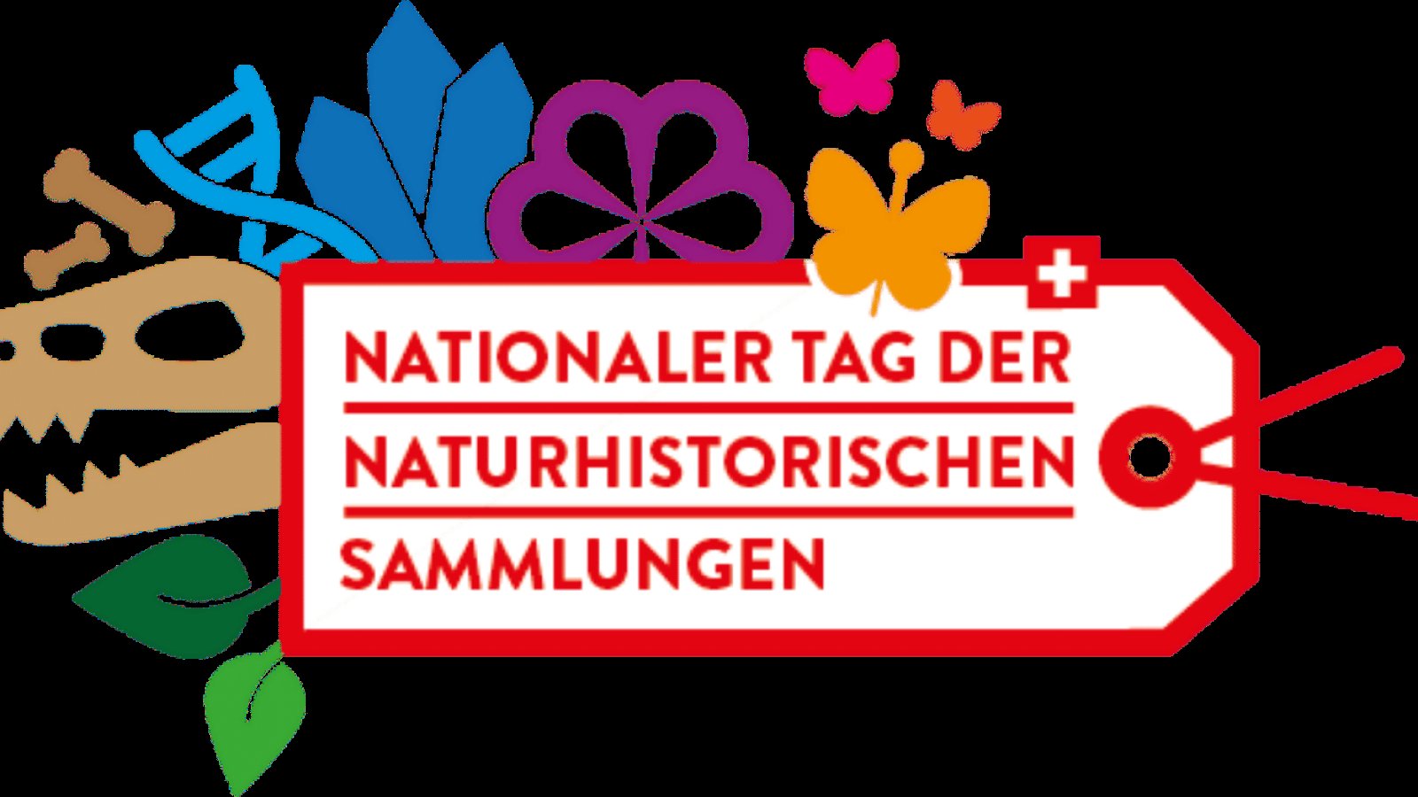 Türe auf! Blick in die Museumssammlung