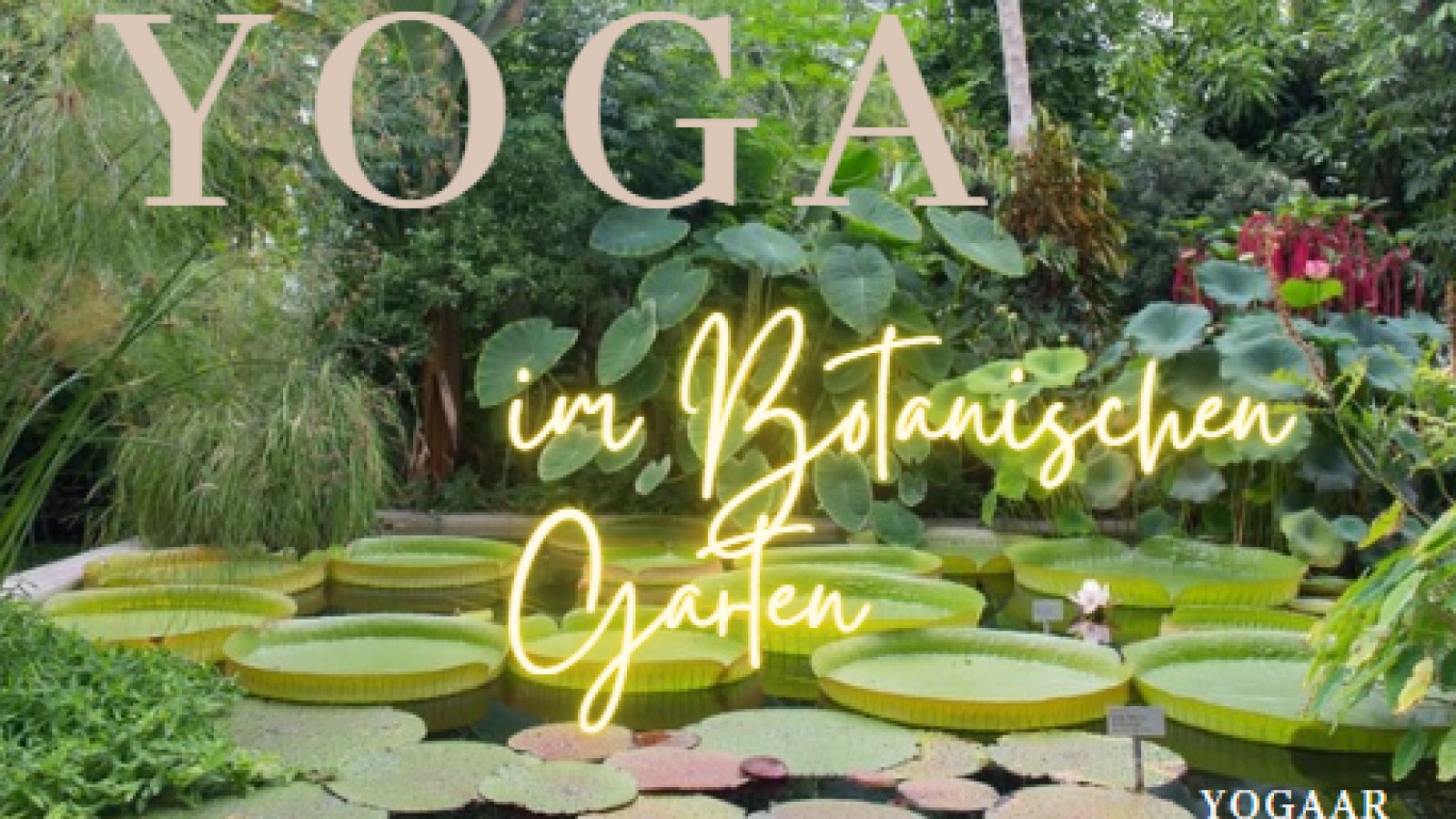 Yoga im Botanischen Garten